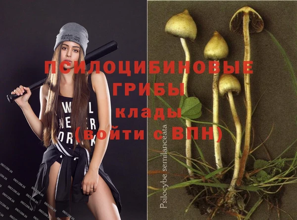 крисы Магадан