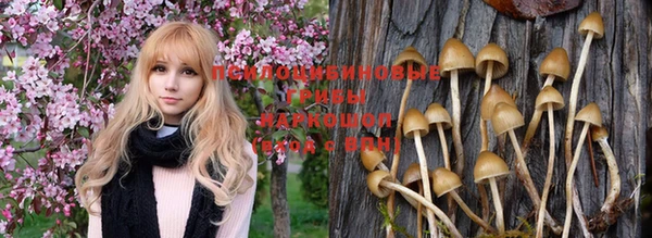 ПСИЛОЦИБИНОВЫЕ ГРИБЫ Майский