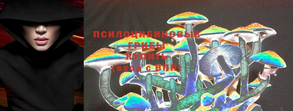 стафф Алзамай