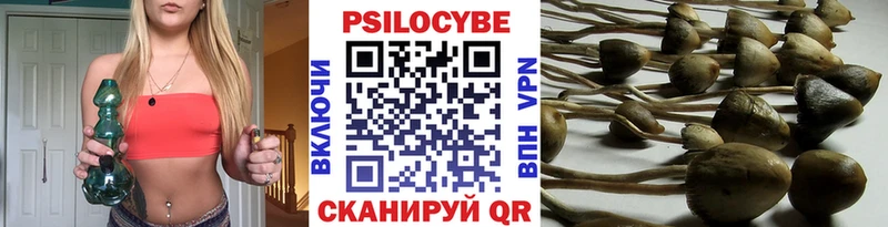 Псилоцибиновые грибы MAGIC MUSHROOMS  Лысьва 